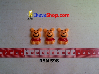 rsn 598  large2